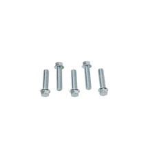 ACCEL БОЛТ KOLNIERZOWA M6X25MM Z PLASKIM LBEM БЕЗ OZNACZEN (5 ШТУКИ.)