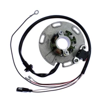 ELECTREX UZWOJENIE ГЕНЕРАТОР (STATOR) TM125/250 '00- , TM85 '02