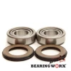 BEARING WORX ПІДШИПНИК GLOWKI РАМИ Z USZCZELNIACZAMI GAS GAS EC\/MC 125 01-05, SM 125 03-06, BMW F 650 FUNDURO ST 97-99 (22-1044)=SBK20002=SBK25002 - зображення 1