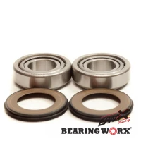 BEARING WORX ПІДШИПНИК GLOWKI РАМИ Z USZCZELNIACZAMI GAS GAS EC/MC 125 01-05, SM 125 03-06, BMW F 650 FUNDURO ST 97-99 (22-1044)=SBK20002=SBK25002