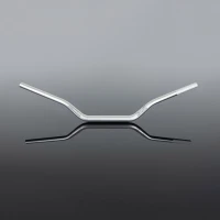 RENTHAL КЕРМО 1,1/8 ЦІЛИЙ (28,6MM) STREET FATBAR РУЧКИ BMW R GS/GSA AC КОЛІР СРІБНИЙ