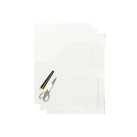 BLACKBIRD COLOURED SHEET БІЛА 47X33CM (3PCS)