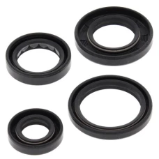 WINDEROSA (VERTEX) КОМПЛЕКТ (НАБІР) УЩІЛЬНЮВАЧІ SILNIKOWYCH YAMAHA YFA1 89-04, YFM125 GRIZZLY 04-13