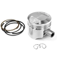 TNT ПОРШЕНЬ KIT, 39,00 , 10MM , PEUGOT KISBEE