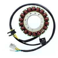ELECTROSPORT UZWOJENIE ГЕНЕРАТОР (STATOR) SUZUKI SV 1000S (03-07)