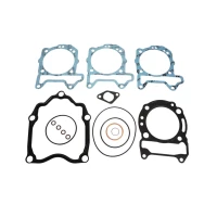 XRADICAL (ARTEIN GASKETS) УЩІЛЬНЕННЯ ТОП END 250 APRILIA SPORT CITY 200 / 250 EU3 , PIAGGIO BEVERLY 200 / 250 EU3 (QUASAR)