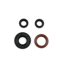 ATHENA 2026/09 КОМПЛЕКТ УЩІЛЬНЮВАЧІ OLEJOWYCH ДВИГУНА APRILIA RS4 '11-'16, DERBI GPR 125 '09-'10, MULHACEN EU3 125 '07-'10, SENDA SM / DRD 125 '09-'18, TERRA EU3 '07-'09