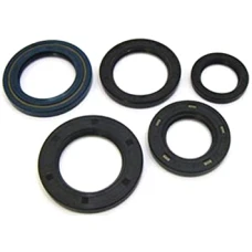WINDEROSA (VERTEX) КОМПЛЕКТ (НАБІР) УЩІЛЬНЮВАЧІ SILNIKOWYCH HONDA CRF450R 02-06