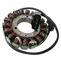 ELECTROSPORT UZWOJENIE ГЕНЕРАТОР (STATOR) YAMAHA FJR1300 13-16