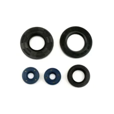 ATHENA 2026/01 КОМПЛЕКТ (НАБІР) УЩІЛЬНЮВАЧІ SILNIKOWYCH APRILIA LEONARDO / ST 125 / 150 '96-'04, SCARABEO 125 / 150 / 200 (ROTAX) '99-'04