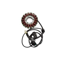 ELECTROSPORT 2025/02 UZWOJENIE ГЕНЕРАТОР STATOR TRIUMPH TIGER 800