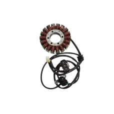 ELECTROSPORT 2025/02 UZWOJENIE ГЕНЕРАТОР STATOR TRIUMPH TIGER 800