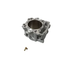 PROMX 2024/05 ЦИЛІНДР YAMAHA YFM 700 GRIZZLY '07-'15, YFM 700 R RAPTOR '06-'20 (BIG BORE 105,5MM, 734CCM) NICASIL