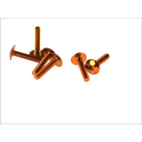 V PARTS (VICMA) КОМПЛЕКТ БОЛТІВ ВІТРОВИКИ M6X30 (6SZT.) КОЛІР ЗОЛОТИЙ (IMBUSOWA PLASKA)(TA630G)