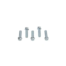 ACCEL БОЛТ KOLNIERZOWA M6X20MM Z PLASKIM LBEM БЕЗ OZNACZEN (5 ШТУКИ.)