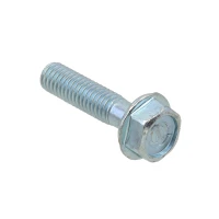PSYCHIC БОЛТ KOLNIERZOWA M6 X 25MM Z OZNACZENIEM (5 ШТУКИ.)
