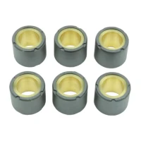 ATHENA РОЛИКИ ВАРІАТОРА 6 ШТУКИ. 20 X 17 MM 11,5 GR. YAMAHA X-MAX/X-CITY/MAJESTY 125, APRILIA ATLANTIC/LEONARDO 125,KYMCO MOVIE/DINK 125, PIAGIGO LIBERTY/SKIPPER/HEXSAGON/X9 125, SUZUKI BURGMAN 125, HONDA DYLAN/NES/SH 125/150
