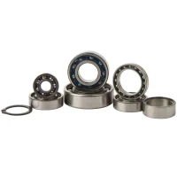 HOT RODS КОМПЛЕКТ РЕМОНТУ КОРОБКИ ПЕРЕДАЧ KTM SX 125 98-02, EXC 125 98-02