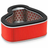BIKETEC ФІЛЬТР ПОВІТРЯ HONDA VTX 1300 '03-'09 (SC52)  (12-90072) (H1279)