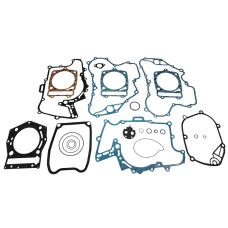 XRADICAL (ARTEIN GASKETS) КОМПЛЕКТ ПРОКЛАДОК APRILIA ATLANTIC SPRINT 500 '05-'08 , SCARABEO LIGHT 500 '06-'08 , PIAGGIO BEVERLY 500 / EU3 / CRUISER 500 '02-'12, MP3 500 RT / LT SPORT / BUSINESS 500 , X9 EVOLUTION 500 / ABS '03-'07