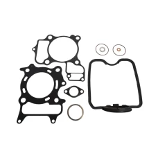 XRADICAL (ARTEIN GASKETS) УЩІЛЬНЕННЯ ТОП END HONDA SH 300 '07-'14 , FORZA 300IE '13-'15
