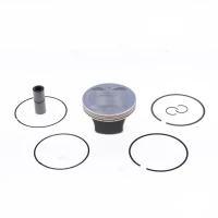 ATHENA ПОРШЕНЬ YAMAHA YFM 700 RAPTOR '06-'14 BIG BORE 105,50MM (NA ZAMOWIENIE)(DO КОМПЛЕКТУ EC485-070) 734CM3