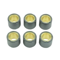 ATHENA РОЛИКИ ВАРІАТОРА 6 ШТУКИ. 20 X 17 MM 9,5 GR. YAMAHA X-MAX/X-CITY/MAJESTY 125, APRILIA ATLANTIC/LEONARDO 125,KYMCO MOVIE/DINK 125, PIAGIGO LIBERTY/SKIPPER/HEXSAGON/X9 125, SUZUKI BURGMAN 125, HONDA DYLAN/NES/SH 125/150