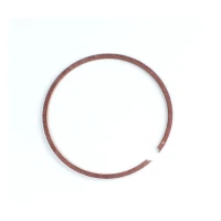WOSSNER 2024/12 КІЛЬЦЕ (2T) 1 ШТУКИ. (55,25MM X 1,00MM)