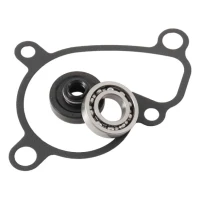 HOT RODS КОМПЛЕКТ РЕМОНТУ НАСОСО ВОДИ SUZUKI RM 250 03-08