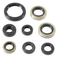 WINDEROSA (VERTEX) КОМПЛЕКТ (НАБІР) УЩІЛЬНЮВАЧІ SILNIKOWYCH KAWASAKI KX450F '16-'18