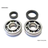 BEARING WORX ПІДШИПНИК ВАЛУ КОЛІНВАЛА Z USZCZELNIACZAMI HONDA CR 125 79-07 (NTN) (MADE IN JAPAN) (24-1003)=CBK30010 - зображення 2