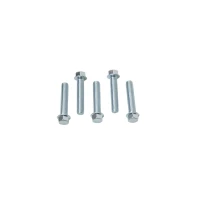 ACCEL БОЛТ KOLNIERZOWA M6X30MM Z PLASKIM LBEM БЕЗ OZNACZEN (5 ШТУКИ.)