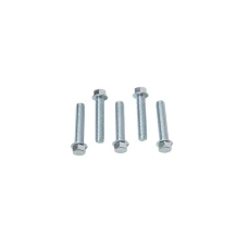 ACCEL БОЛТ KOLNIERZOWA M6X30MM Z PLASKIM LBEM БЕЗ OZNACZEN (5 ШТУКИ.)