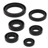 WINDEROSA (VERTEX) КОМПЛЕКТ (НАБІР) УЩІЛЬНЮВАЧІ SILNIKOWYCH KAWASAKI KEF300 LAKOTA 95-03, POLARIS 450 HO 2X4 MD 16 - зображення 1