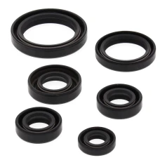 WINDEROSA (VERTEX) КОМПЛЕКТ (НАБІР) УЩІЛЬНЮВАЧІ SILNIKOWYCH KAWASAKI KEF300 LAKOTA 95-03, POLARIS 450 HO 2X4 MD 16