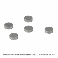 PROX ПЛАТА КЛАПАННЕ 10,00 X 3,05 MM (1 ШТУКИ.)