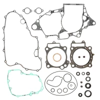PROX КОМПЛЕКТ ПРОКЛАДОК Z KOMPLETEM УЩІЛЬНЮВАЧІ SILNIKOWYCH HONDA TRX 450 R '06-'14
