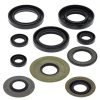 WINDEROSA (VERTEX) КОМПЛЕКТ (НАБІР) УЩІЛЬНЮВАЧІ SILNIKOWYCH YAMAHA YFM350 BRUIN 04-05, BIG BEAR 87-99, YFM400 KODIAK 93-99 - зображення 2