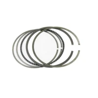 WOSSNER КІЛЬЦЯ (4T) 3 ШТУКИ. ( 1,0 MM X 0,8 MM X 2,0 MM )