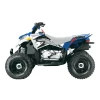 BLACKBIRD КОМПЛЕКТ НАЛІПОК (OKLEIN) POLARIS OUTLAW '06-'08 DREAM 2 (16) - зображення 1