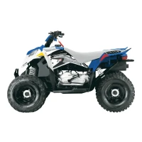 BLACKBIRD КОМПЛЕКТ НАЛІПОК (OKLEIN) POLARIS OUTLAW '06-'08 DREAM 2 (16)