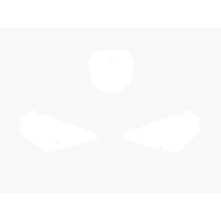 BLACKBIRD PRE CUT BACKGROUNDS БІЛА RM85 02-15