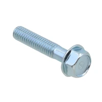 PSYCHIC 2025/05 БОЛТ KOLNIERZOWA M6 X 1.0 X 30MM Z OZNACZENIEM (5 ШТУКИ.)