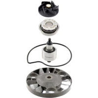 RMS КОМПЛЕКТ РЕМОНТУ НАСОСО ВОДИ APRILIA ATLANTIC 125 '03-'12; SCARABEO 125 '03-'07; GILERA RUNNER 125/200 '05-'16; PIAGGIO BEVERLY 125 '05-'10