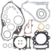 WINDEROSA (VERTEX) КОМПЛЕКТ ПРОКЛАДОК YAMAHA YFM 700 RAPTOR (06-14) - зображення 1