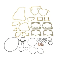 XRADICAL(ARTEIN GASKETS) КОМПЛЕКТ ПРОКЛАДОК BETA 250/300 RR '13-'21