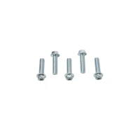 ACCEL БОЛТ KOLNIERZOWA M8X30MM Z WKLESLYM LBEM БЕЗ OZNACZEN (5 ШТУКИ.)