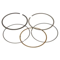 VERTEX КІЛЬЦЯ ( ДІАМЕТР 101MM ) (КОМПЛЕКТ.)