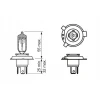 BOSCH ЛАМПОЧКА HS1 35\/35W 12V PX43T - зображення 2