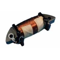 ELECTREX КОТУШКА WZBUDZENIA ЗАПАЛУ SUZUKI LT80 '87-'06, HONDA TRX200D FOURTRAX '91-'97